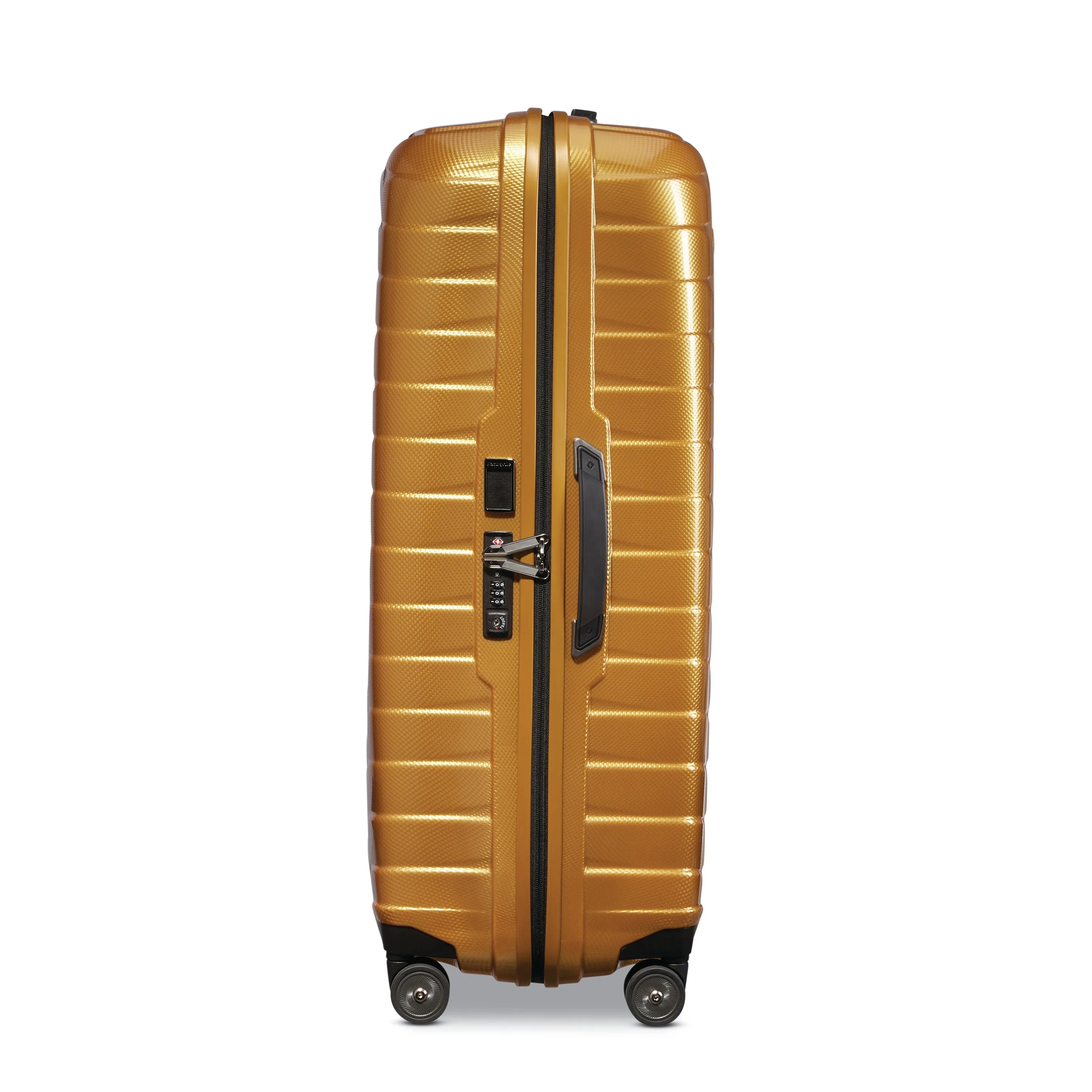 Proxis Extra Large Spinner 32"
