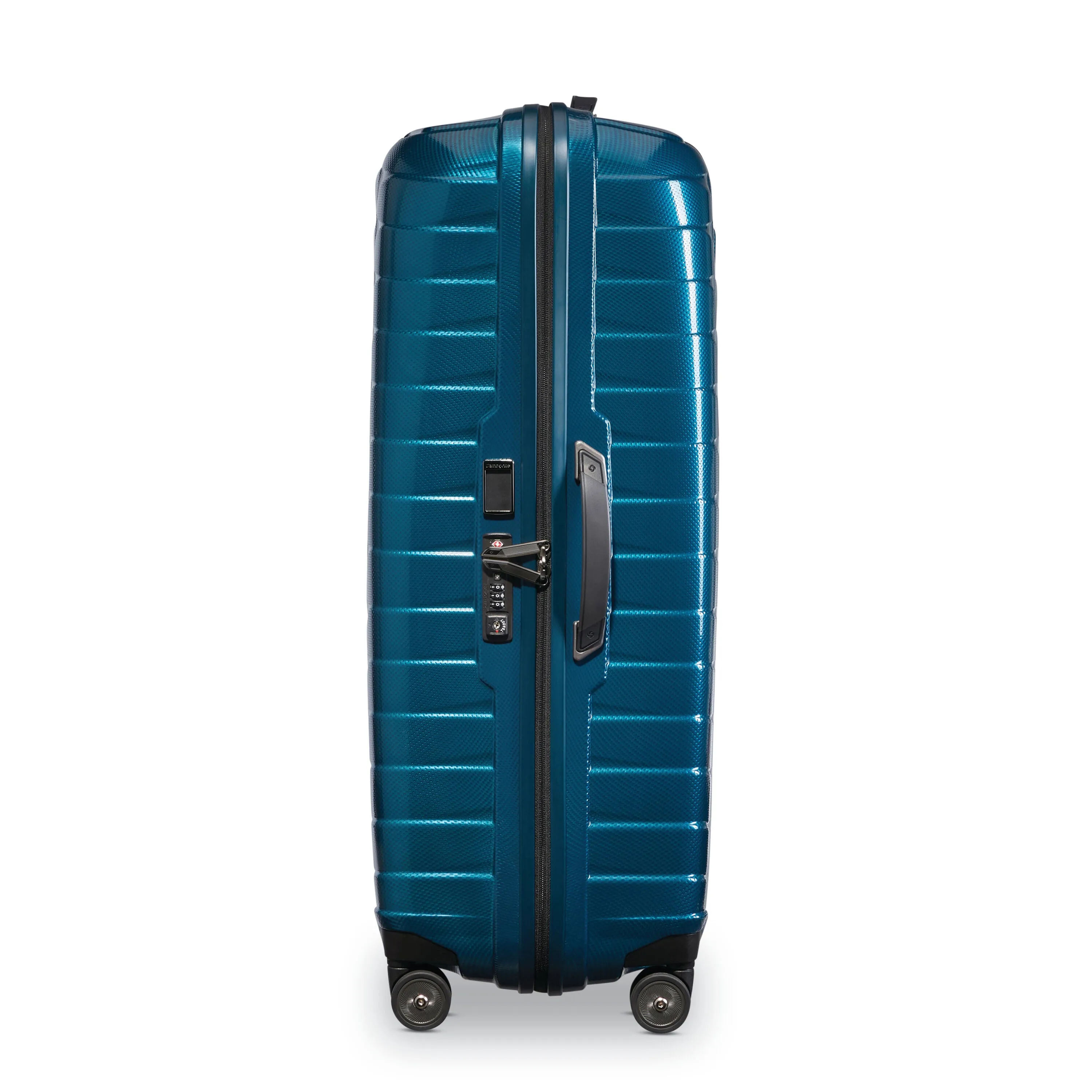 Proxis Extra Large Spinner 32"